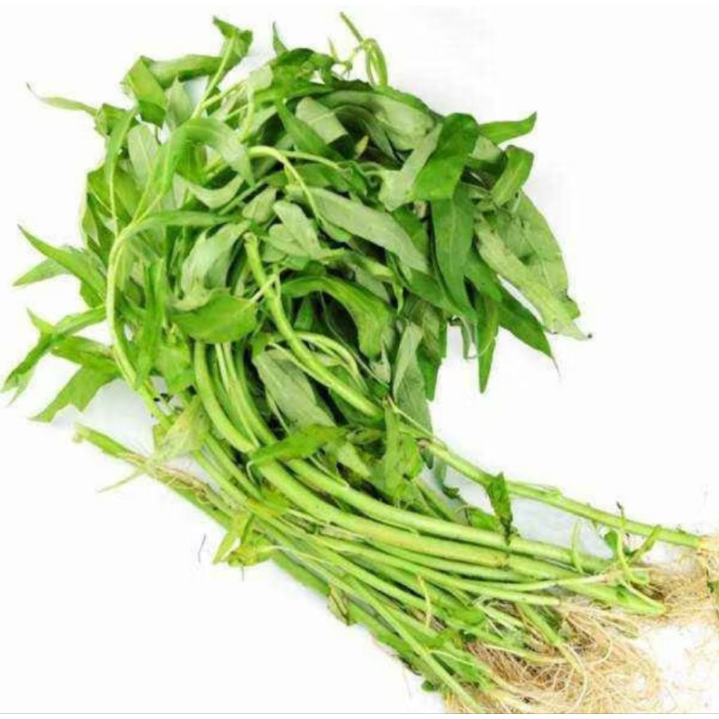 

KANGKUNG, SAYUR KANGKUNG, SAYURAN