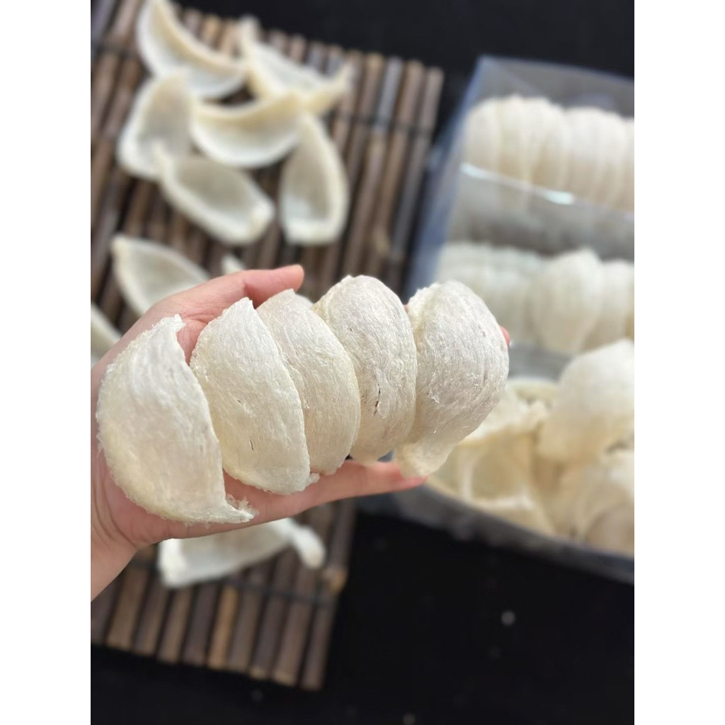 

Oriental Birdnest Sarang Burung Walet Mangkok Premium