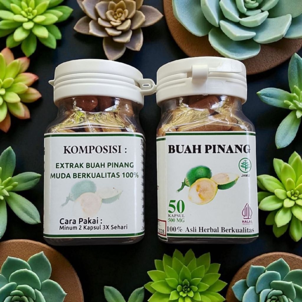 Bubuk Pinang Muda Urip Herba