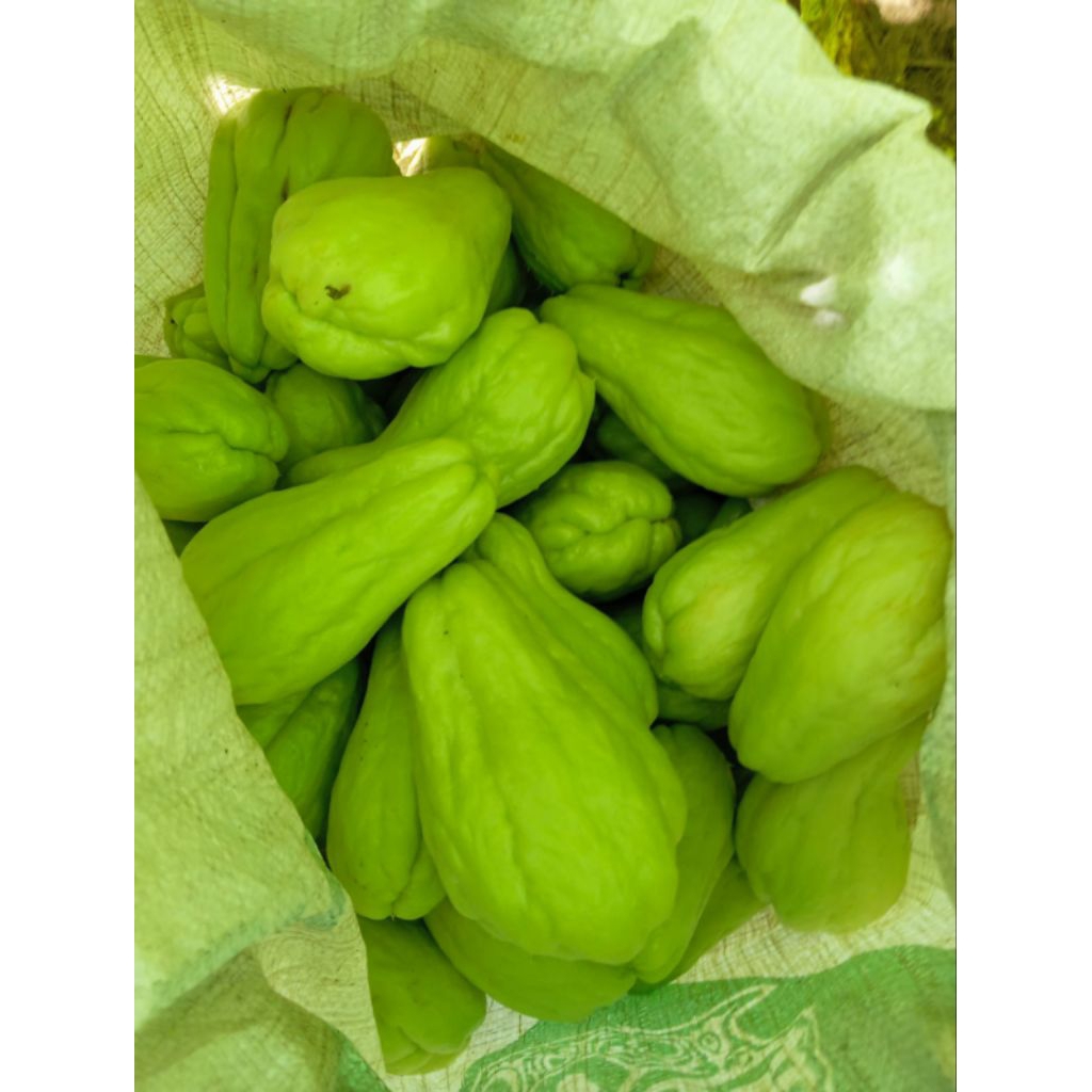 

Labu Siam 1kg/l Labu Siam utuh/ 22seafood