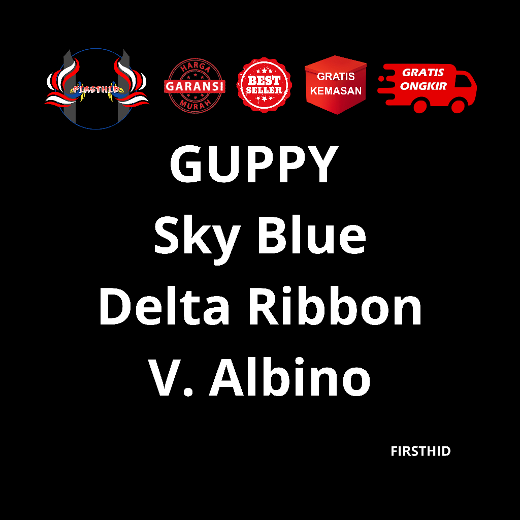 (BEST SELLER) Aksesoris Akuarium GUPPY Sky Blue Topaz Ribbon eksklusif