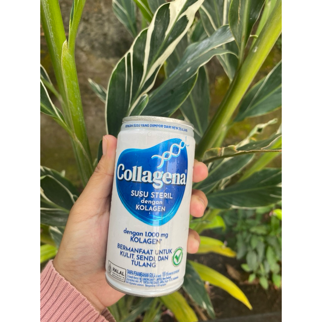 

SUSU STERIL COLLAGENA (isi 6 kaleng)