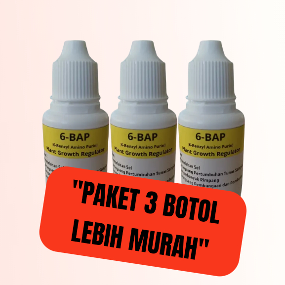 PAKET HEMAT 3 BOTOL 6 BAP KUNING / HORMON ANGGREK 6 BAP / PUPUK ANGGREK / PUPUK 6 BAP KUNING