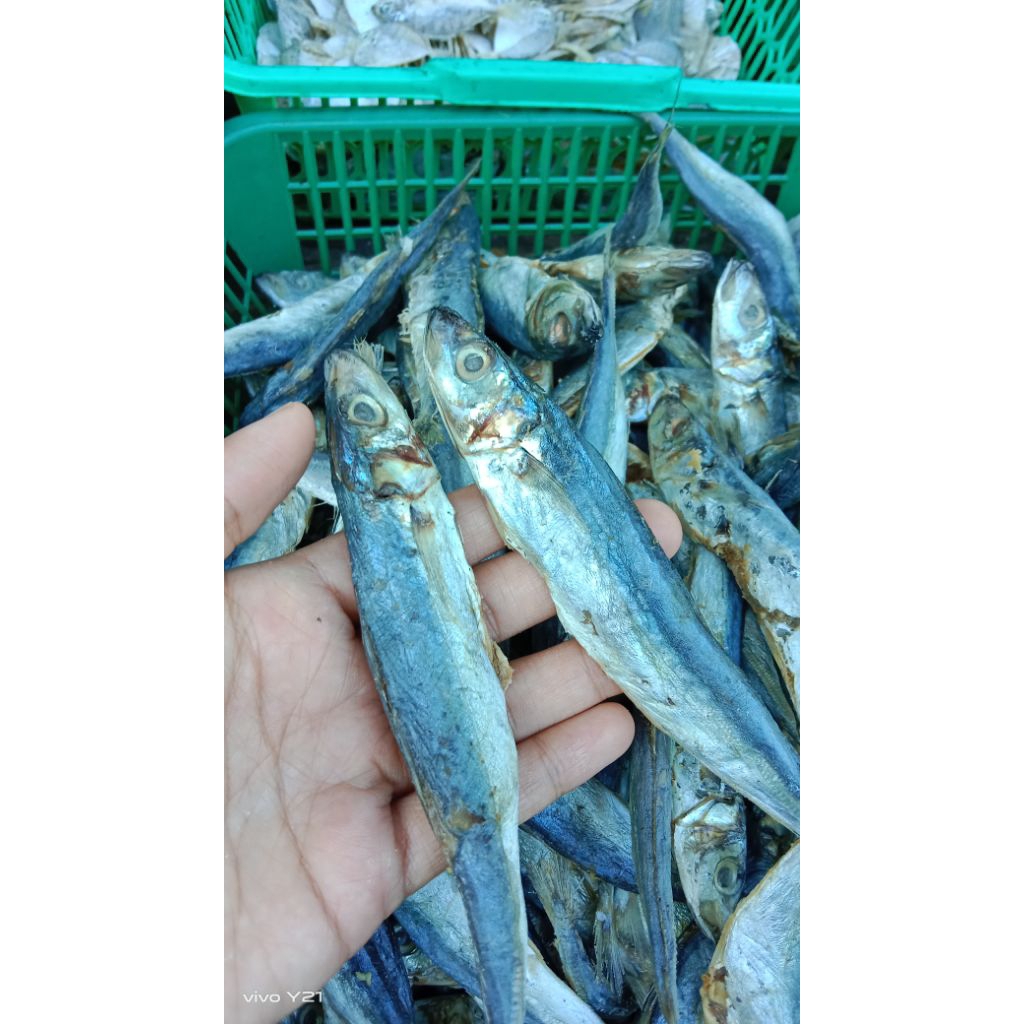 

ikan asin benggol 1kg#ikan benggol asli tanpa bahan pengawet