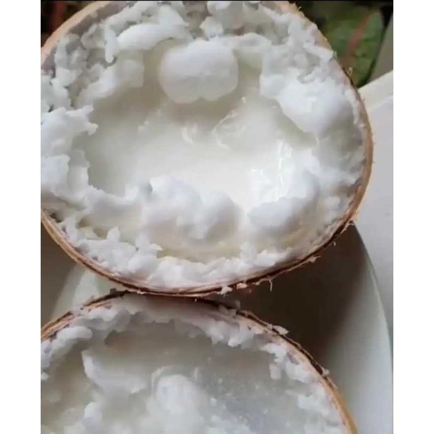

kelapa kopyor menyegarkan diameter 44-46 asli pati