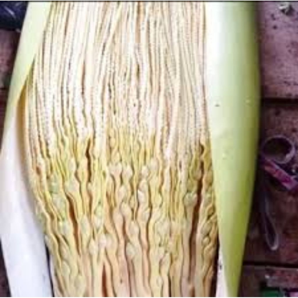 

1 manggar bunga pinang utuh segar freshh dadakan