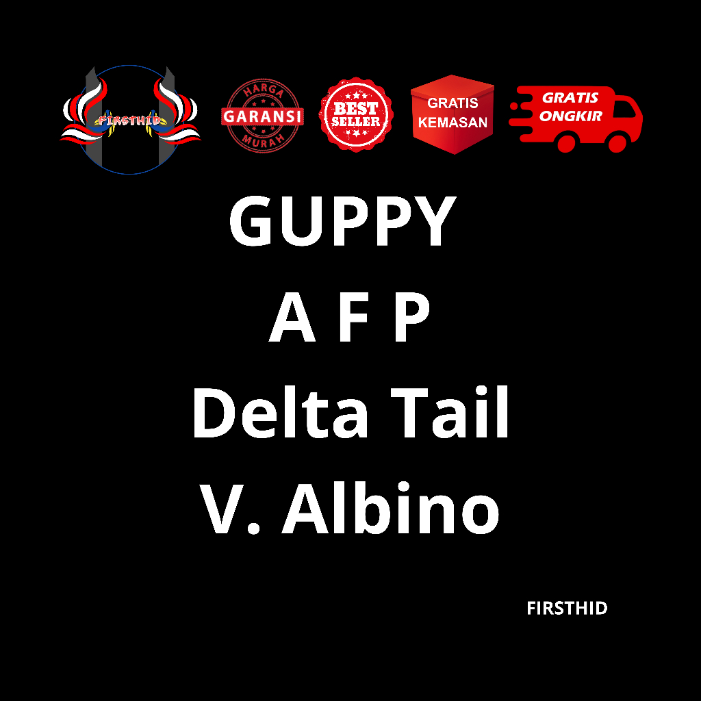 (BEST SELLER) Aksesoris Akuarium GUPPY AFP (Albino Full Platinum) gen carrier Swallow Ribbon