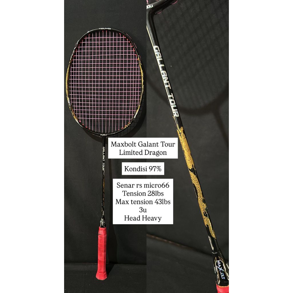 Maxbolt Galant Tour Limited Dragon