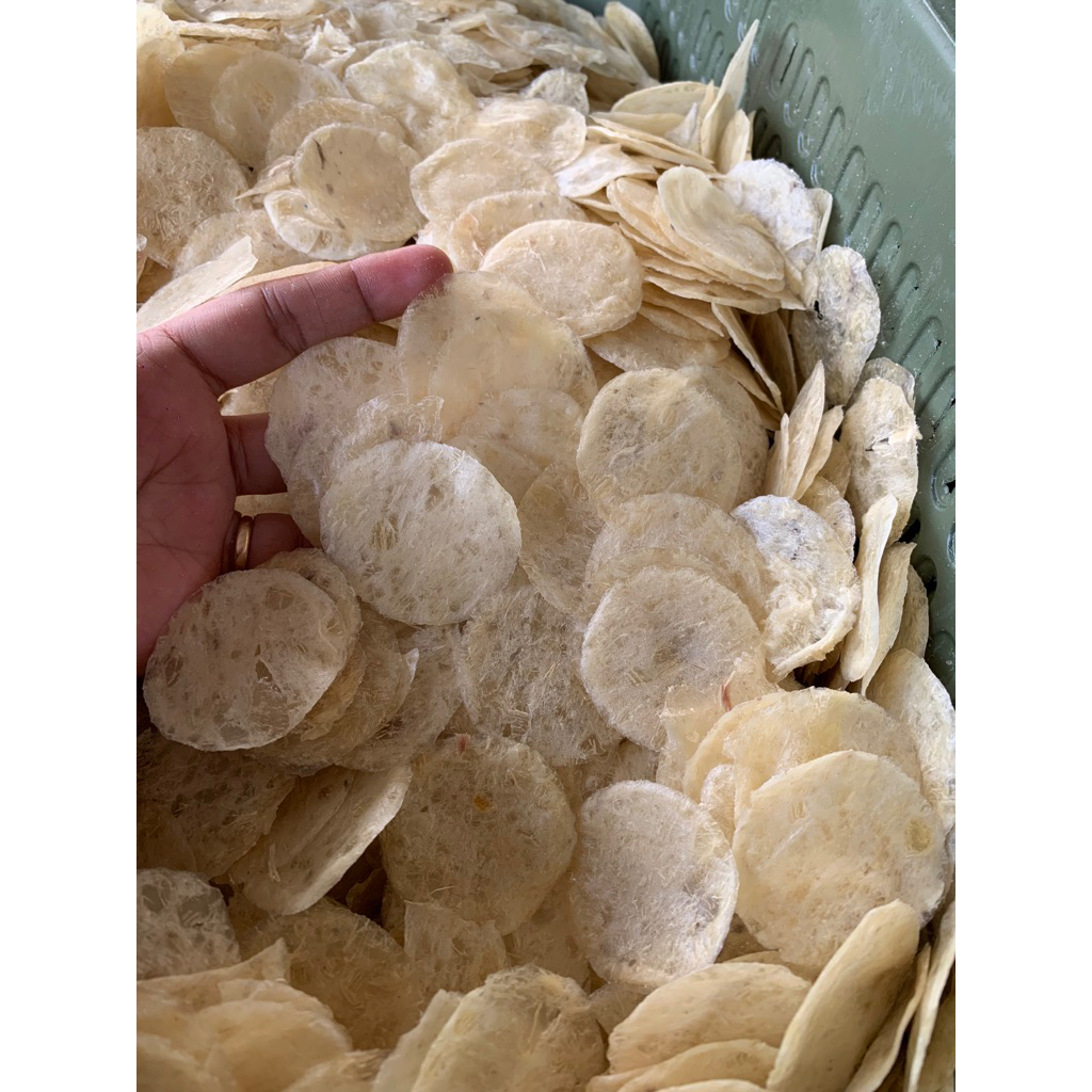 

opak koin _opak medan mentah 500gr