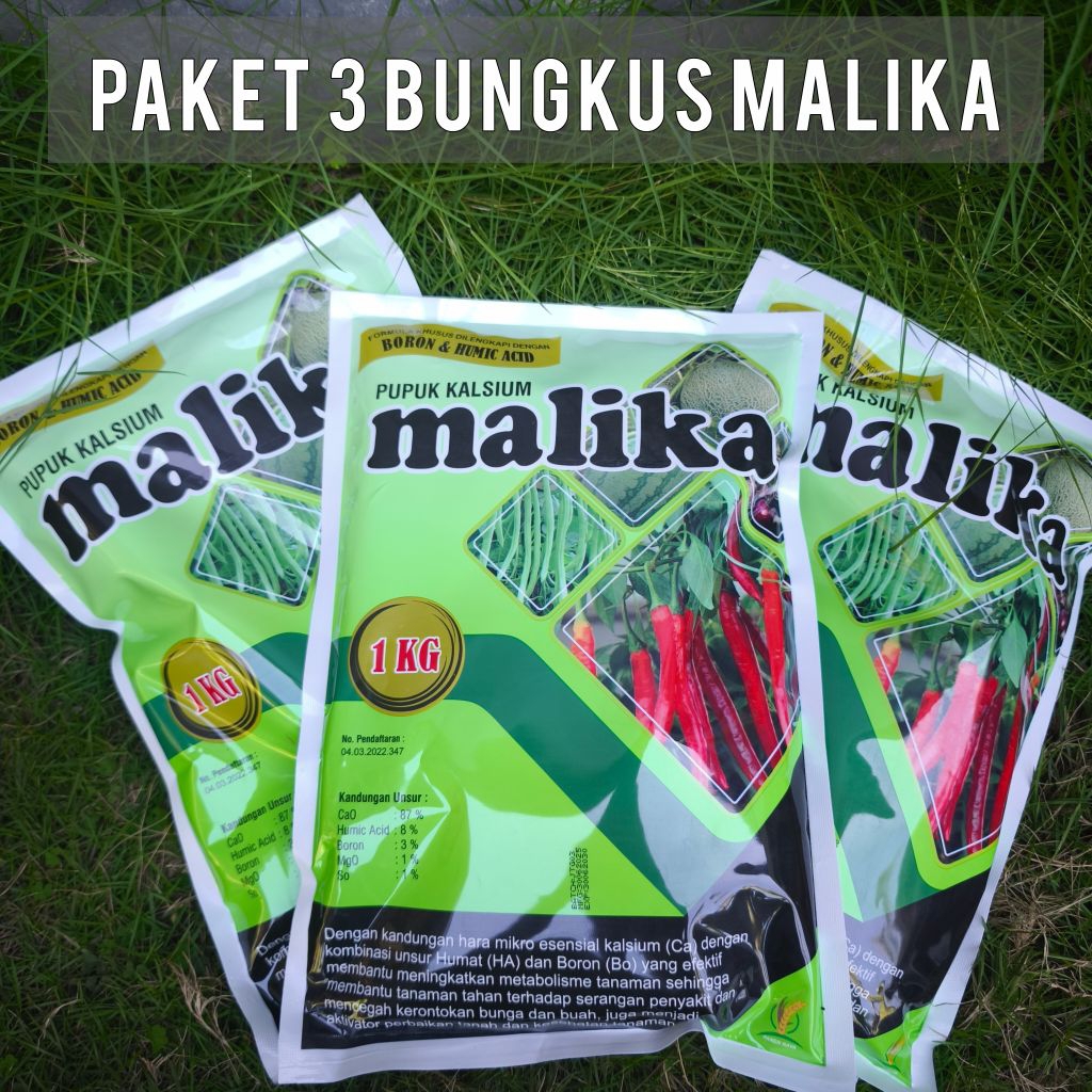 PAKET 3 BUNGKUS MALIKA KALSIUM TINGGI