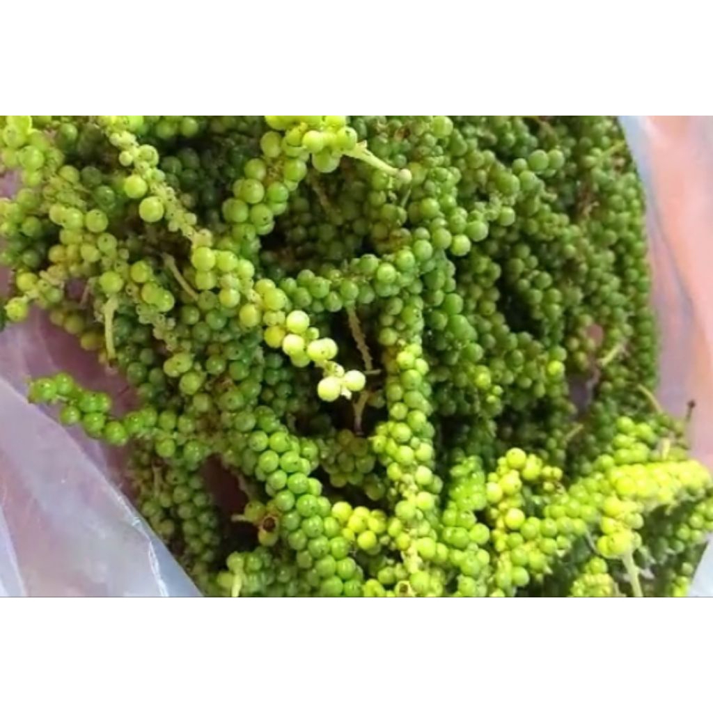 

lada hijau segar per 500 gram