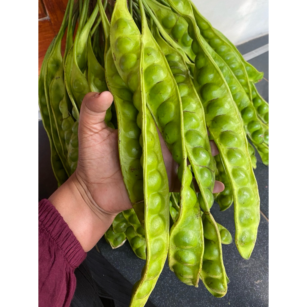 

Pete sedang isi 5 papan tua 11,12,&13 mata