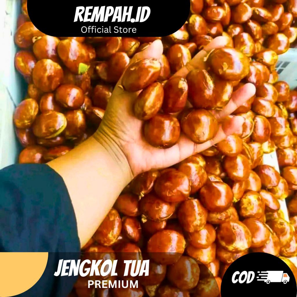 

Promo Jengkol Tua Premium 1 KG Belum Dikupas Cocok Untuk Disemur