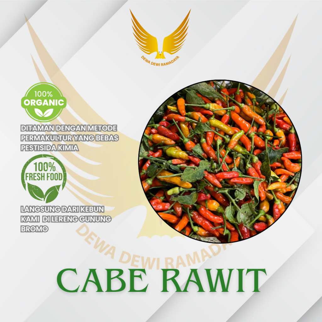 

Cabe Prentul Dewa Dewi Ramadaya