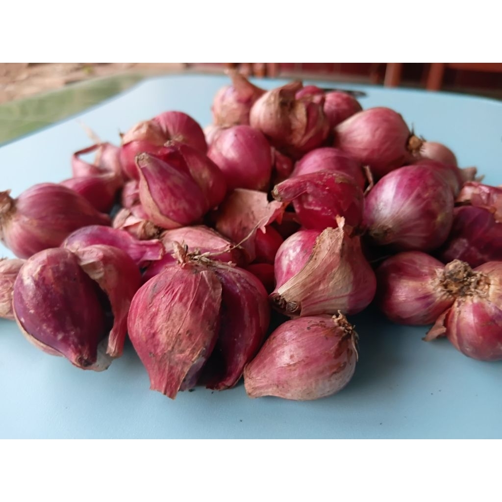 

Bawang Merah segar petani Lokal