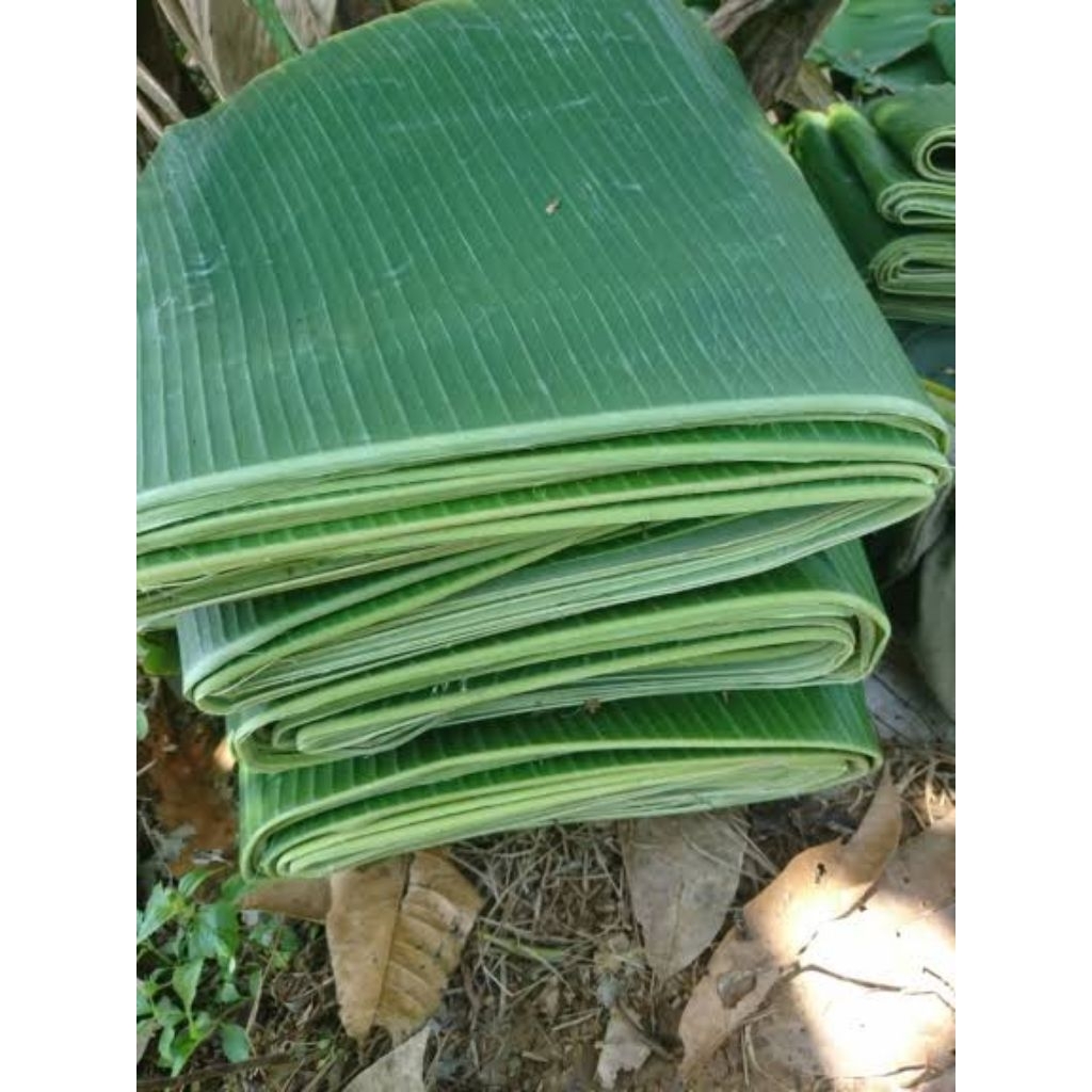 

daun pisang fresh bahan bungkus makanan per gulung 1per 1 ikat