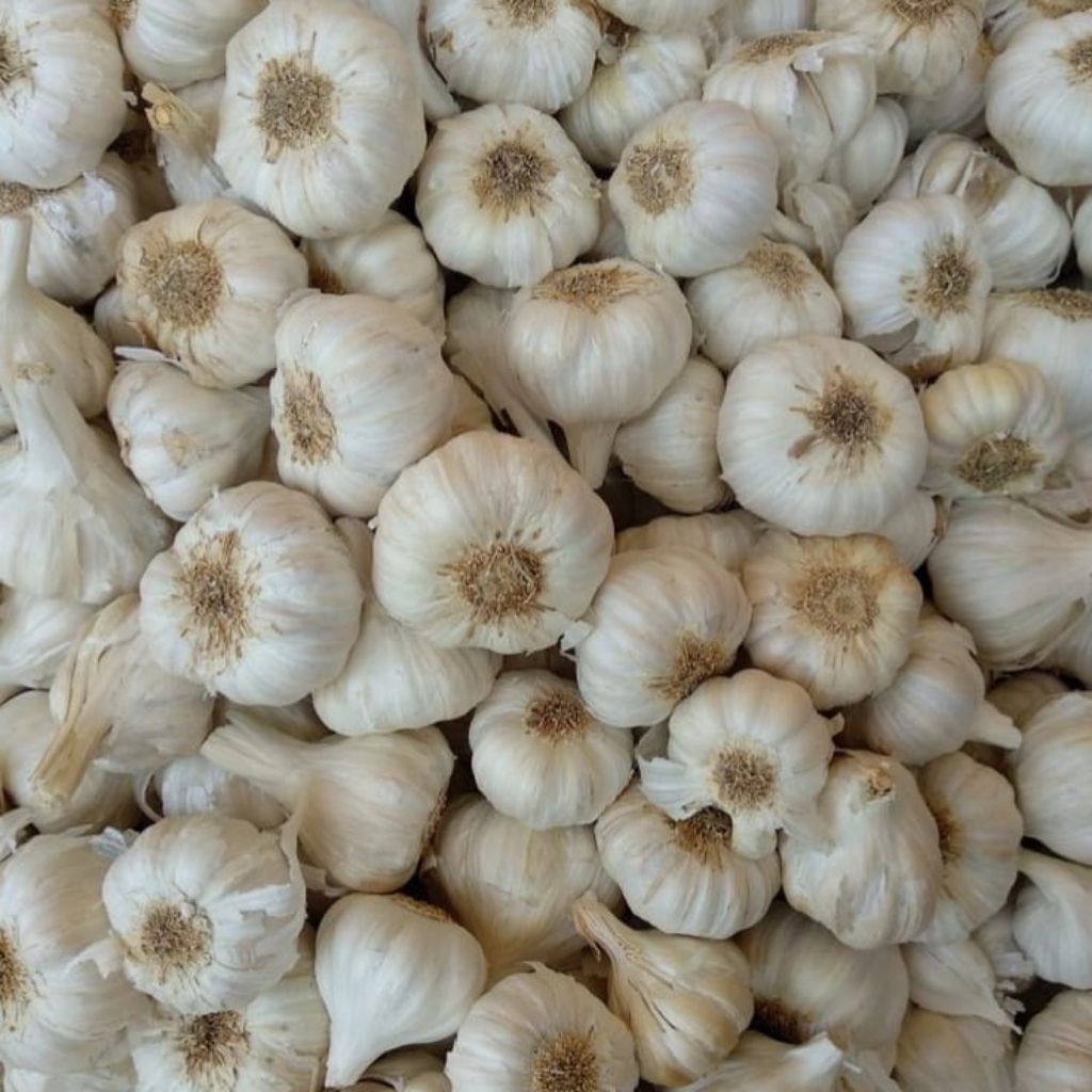 

Bawang putih sinco 500gr 1kg