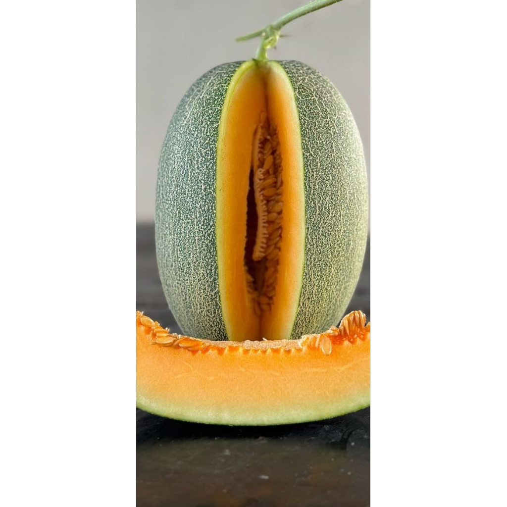 

melon manis banget sweet hami