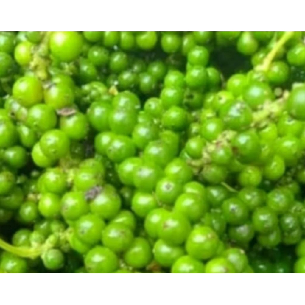 

lada hijau fresh 200 gram