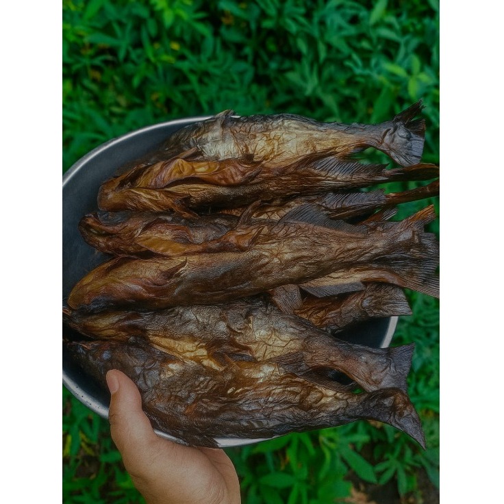 

IKAN SALE Patin Asap Premium | Ikan Tawar Asap Enak Gurih 250gr - 1kg