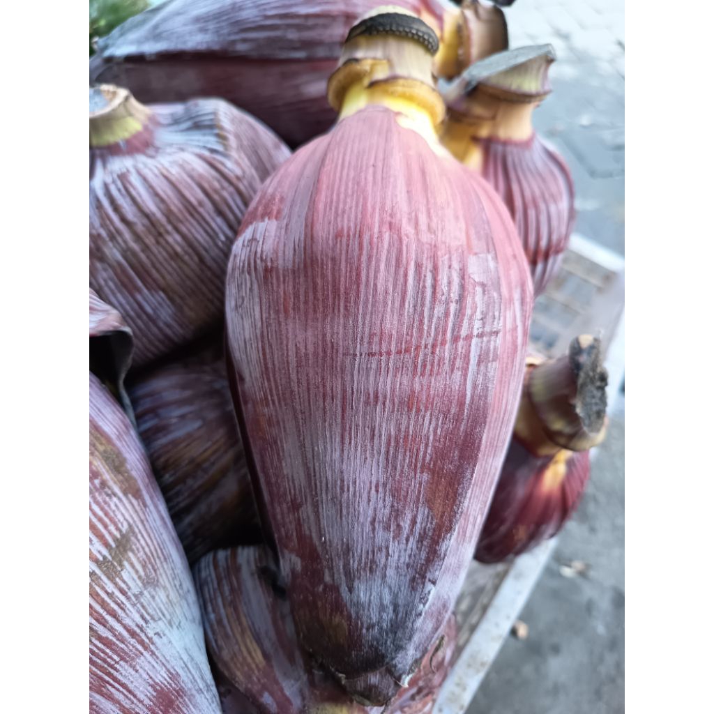 

Ontong pisang / jantung pisang 1 buah utuh