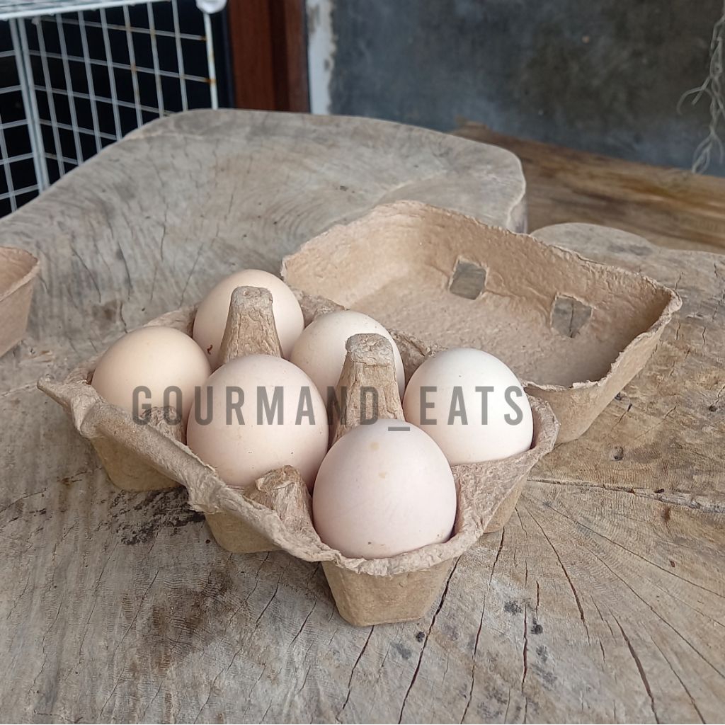 

Telur Ayam Kampung KUB Fresh