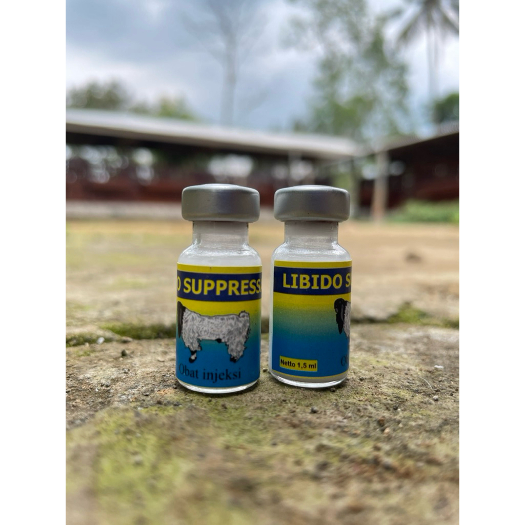 hormon penekan birahi kambing jantan libido suppressant