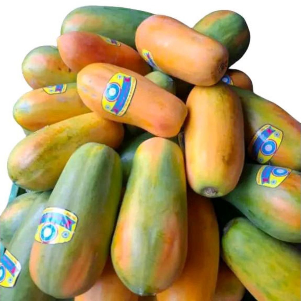 

Buah pepaya sweety farm pepaya segar super manis-+ 1,2 kg