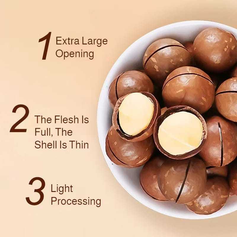 

Cemilan Kacang Panggang Roasted Macadamia Nuts - Kacang Macadamia Panggang Utuh Siap Makan - Snack Sehat Macadamia Nut