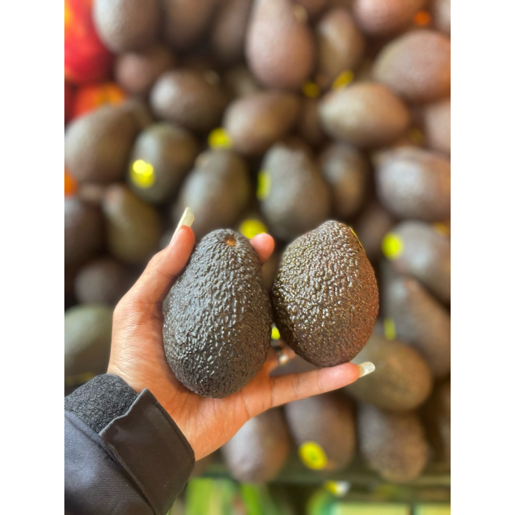 

Alpukat Import Premium | Alpukat Hass Australia | Avocado Australian Fresh 1kg