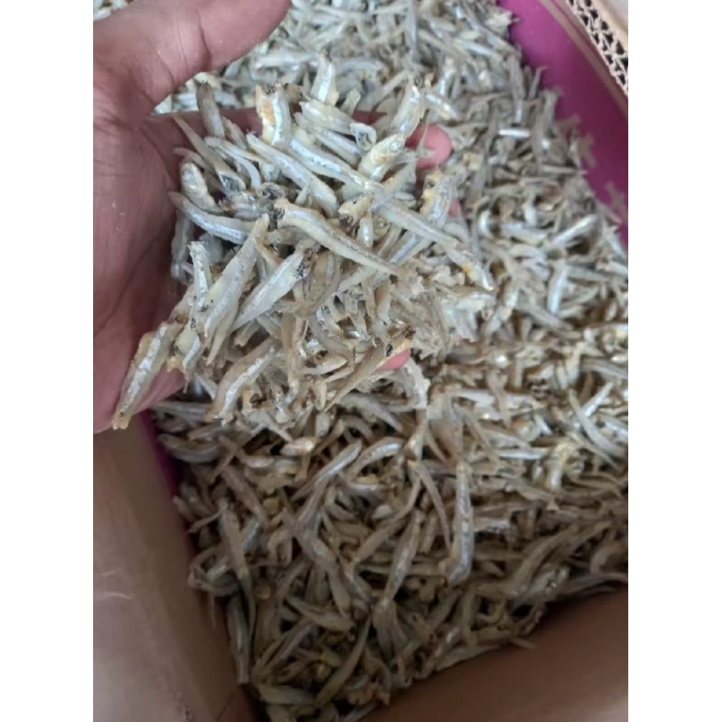 

promo ikan asin teri cue murah kemasan