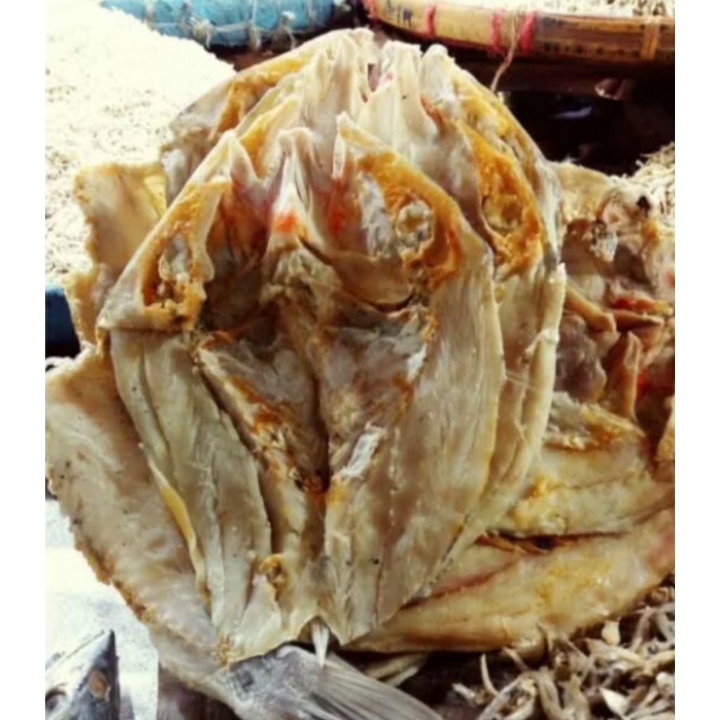 

MURAH Ikan asin kakap 500gr