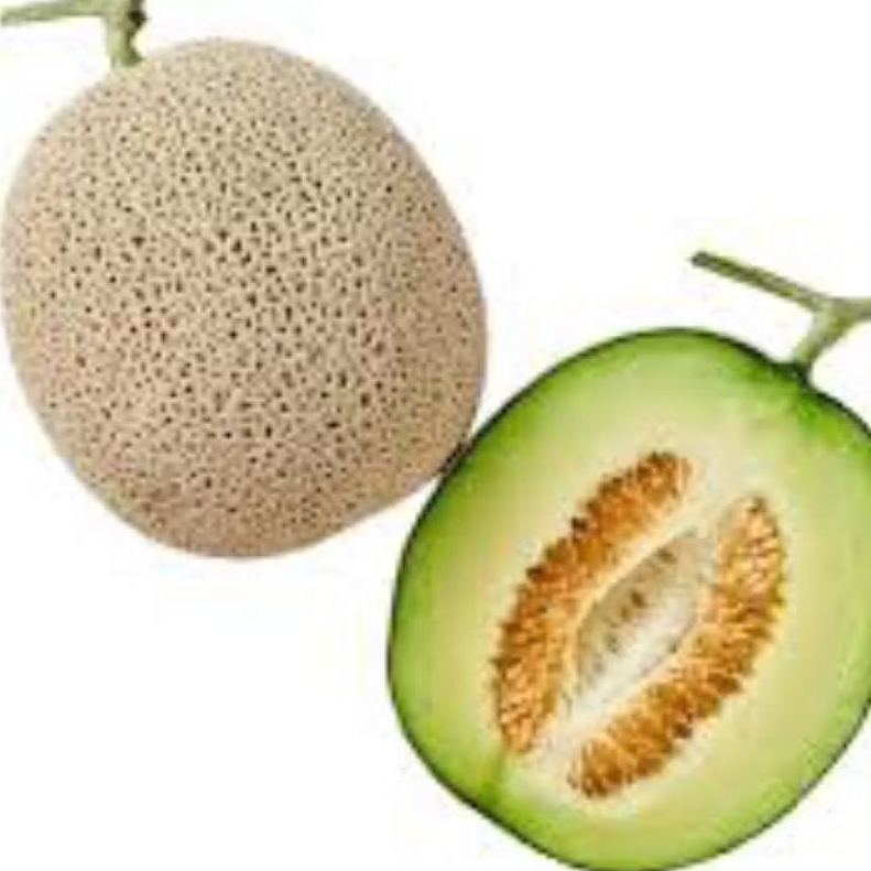 BENIH/BIJI MELON MUSK KOREA (7 BUTIR)