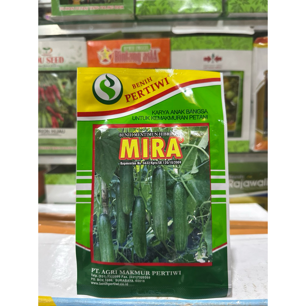 BENIH TIMUN MIRA  25gram dari BENIH PERTIWI - Mentimun Mira 25gram ORIGINAL