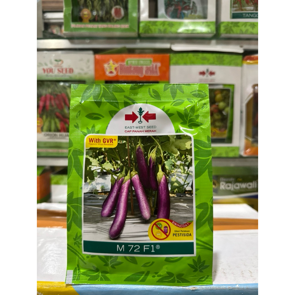 BENIH TERONG M72 F1 1100 butir - BIBIT TERONG UNGU HIBRIDA M72