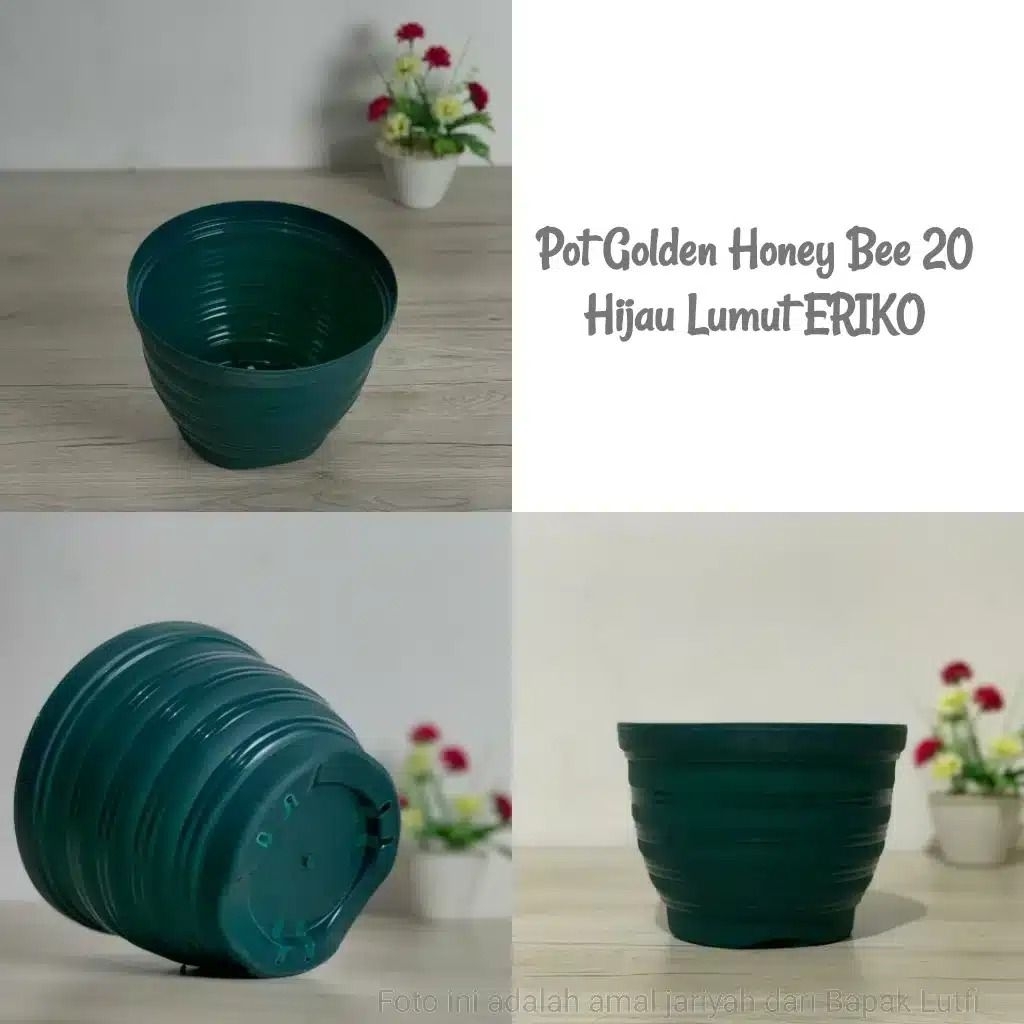 Pot Golden Honey Bee