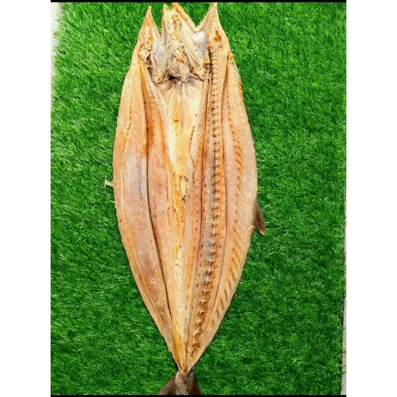 

Ikan Asin Telang Tenggiri Utuh Seekor – Asin Kering Gurih Tahan Lama