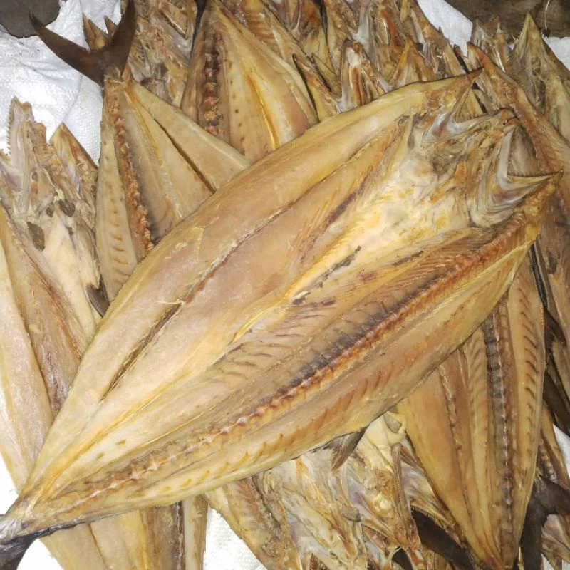 

Ikan Asin Tenggiri Ekoran Premium – Asin Kering Utuh Berkualitas