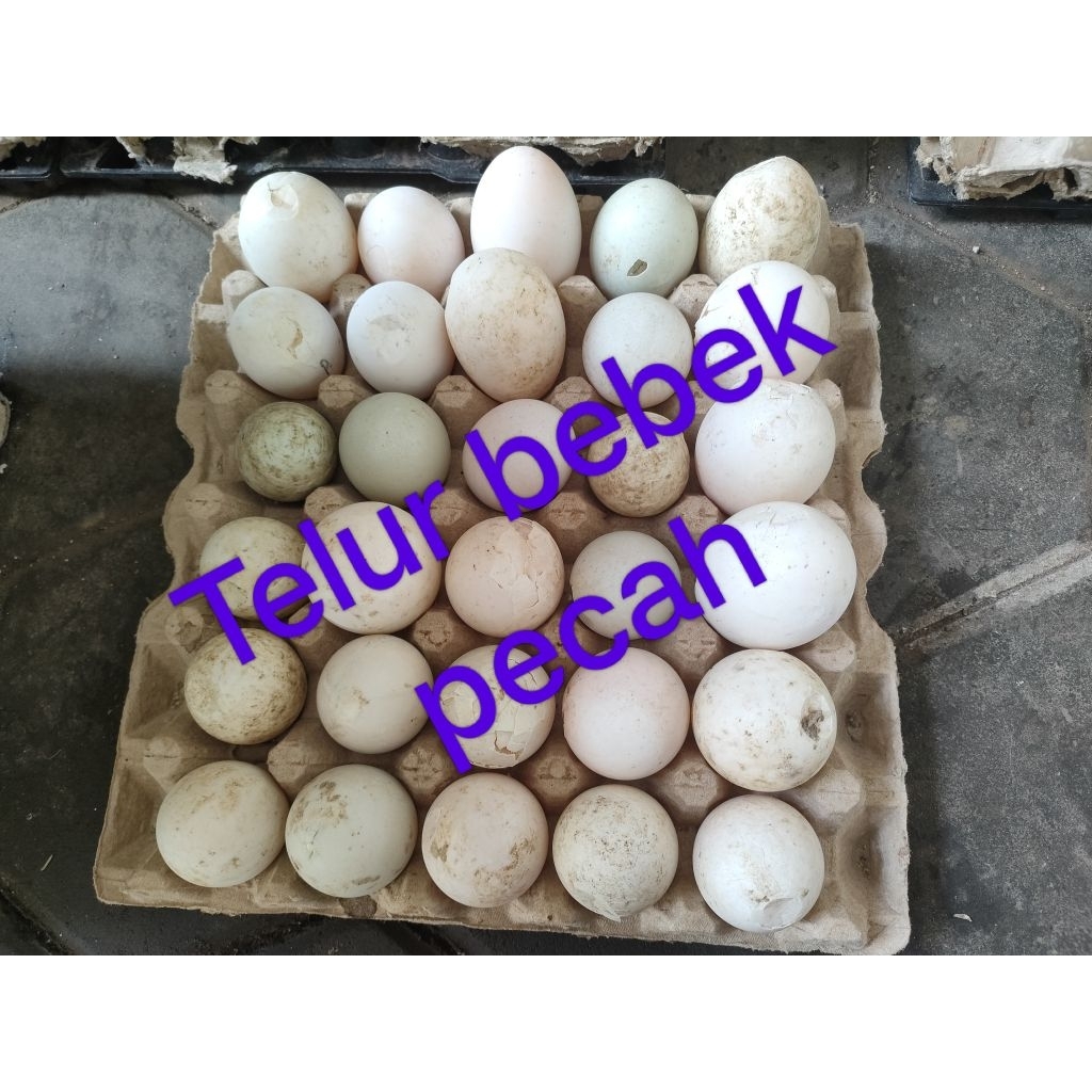 

Telur bebek retak / pecahan