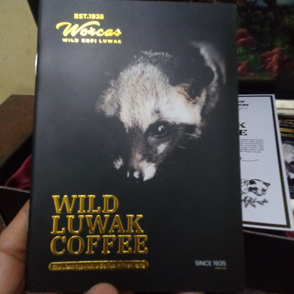 

mandhaling king wild luwak