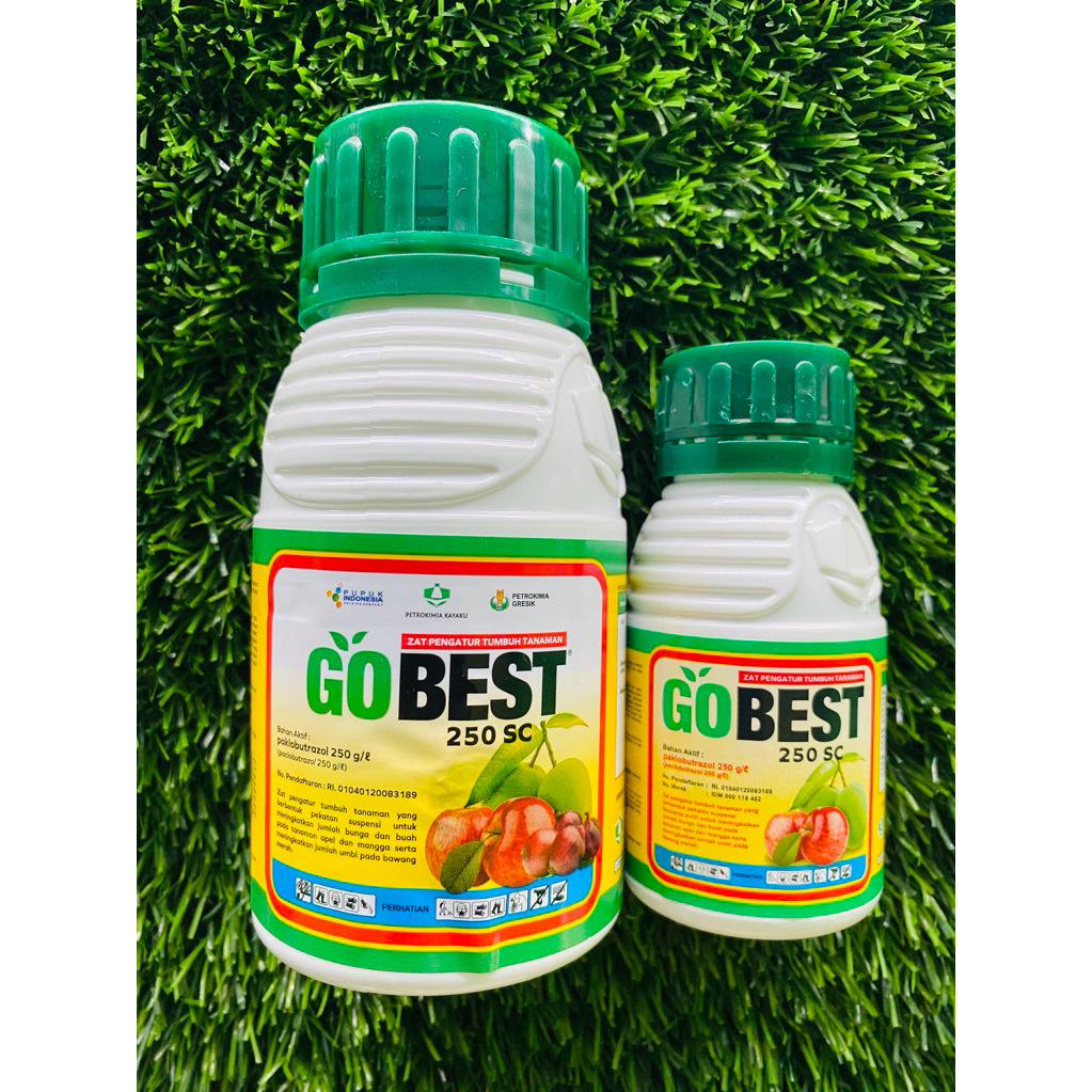 ZPT GOBEST 250SC || perangsang pembuahan