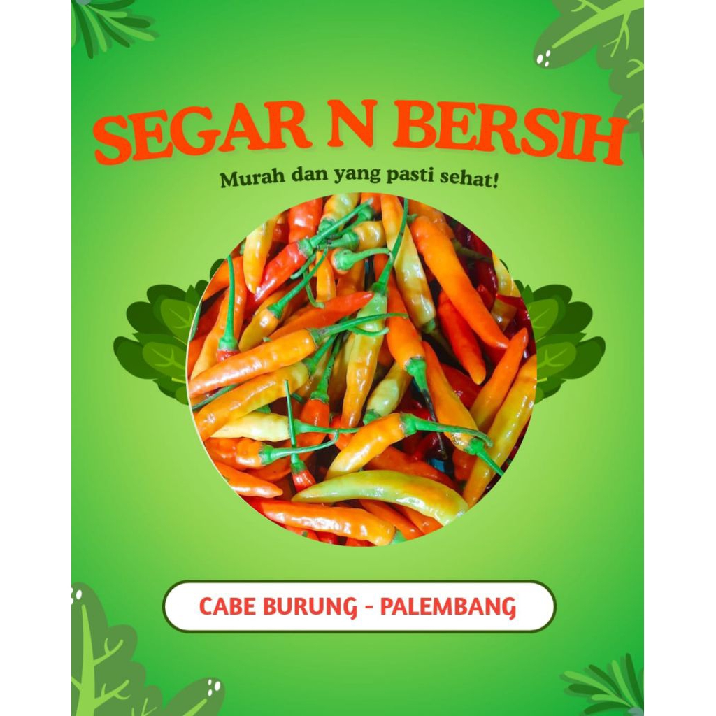 

CABE BURUNG SEGAR INSTANT - PALEMBANG