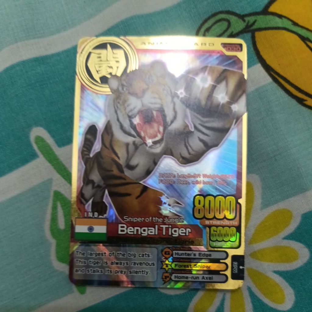 Kartu Animal Kaiser Original Bengal Tiger