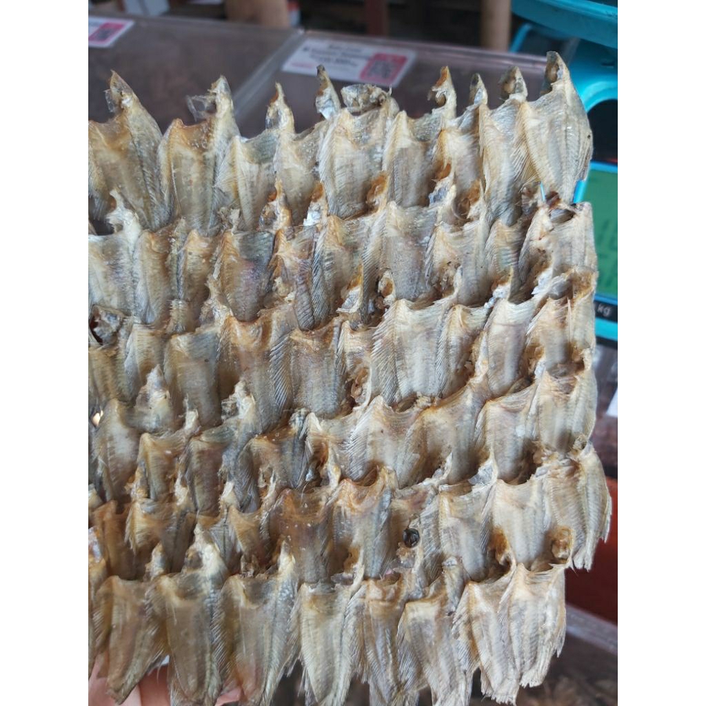 

sepat tikar tanpa kepala