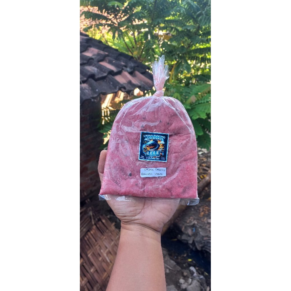 

Sasak Daging Biawak Merah