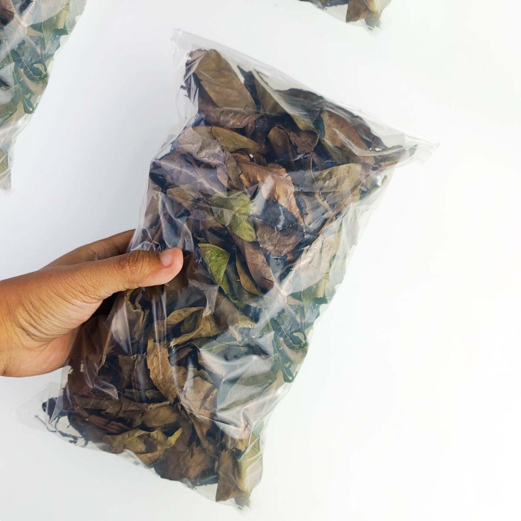 

Daun Salam Kering / Dried Bay Leaves 50g Bumbu Masak