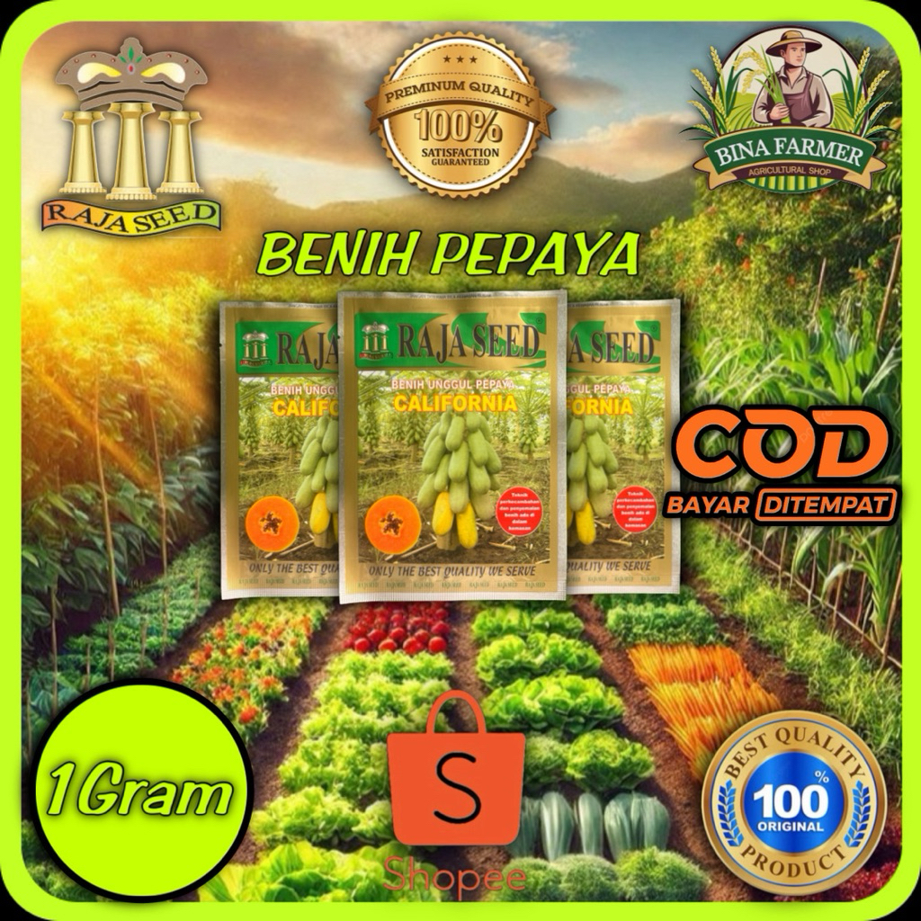 PEPAYA CALIFORNIA 1Gram RAJA SEED Exp 2026