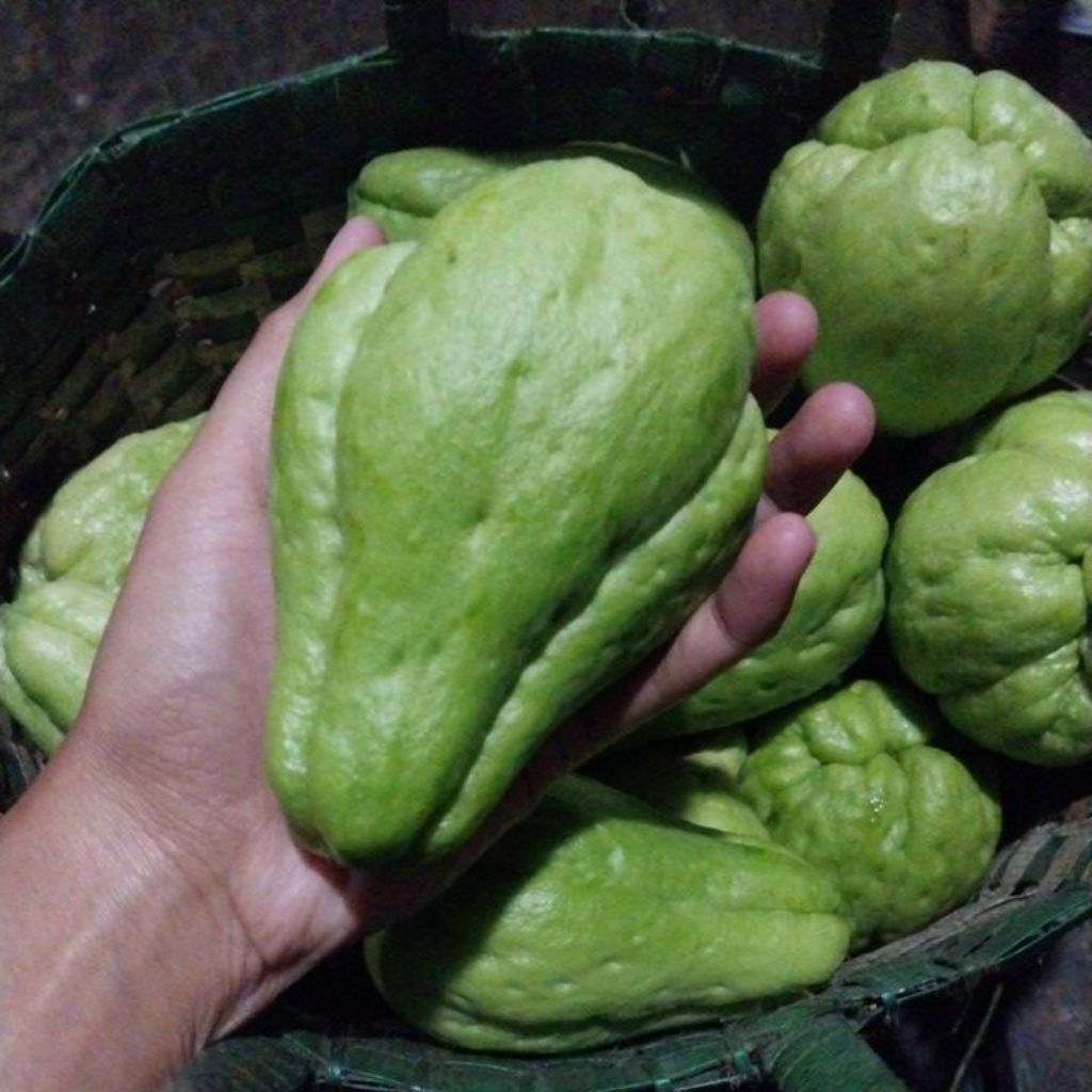 

1KG LABU SIAM MANISA GONDES FRESH DARI KEBUN