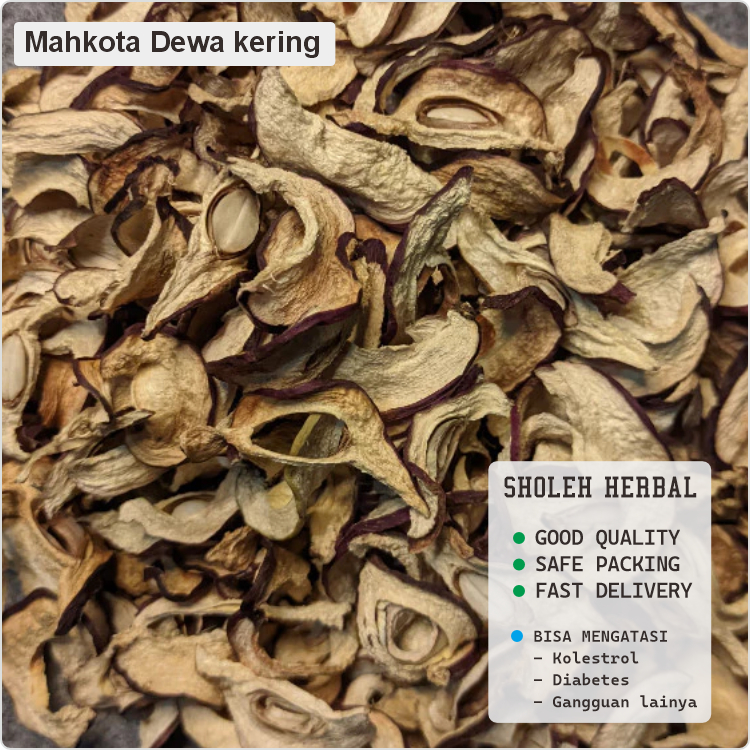 

Mahkota Dewa kering 1 Kg Asli Kualitas Premium Grade A Untuk Herbal