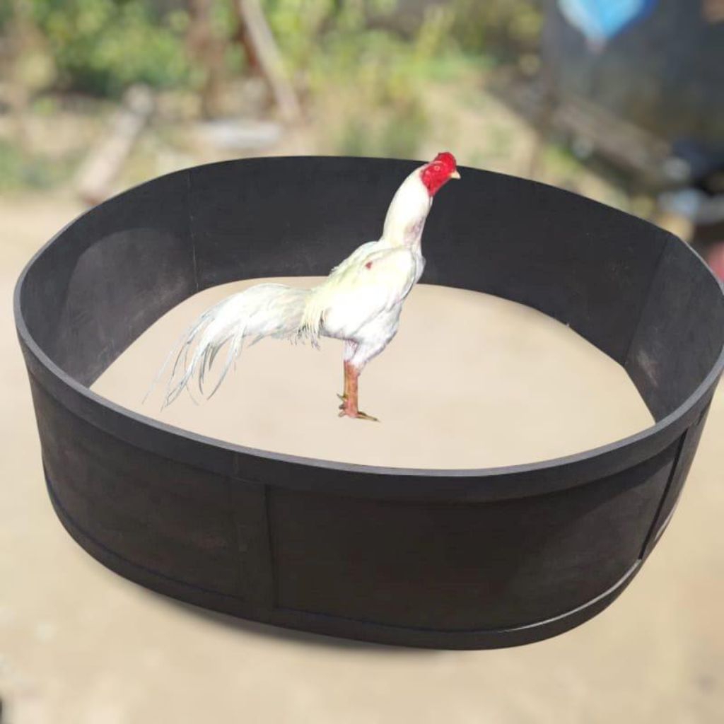 Ring ayam aduan geber ayam kalang ayam karet spon tebal Terlaris Geber/ring ayam panjang 3 meter dia